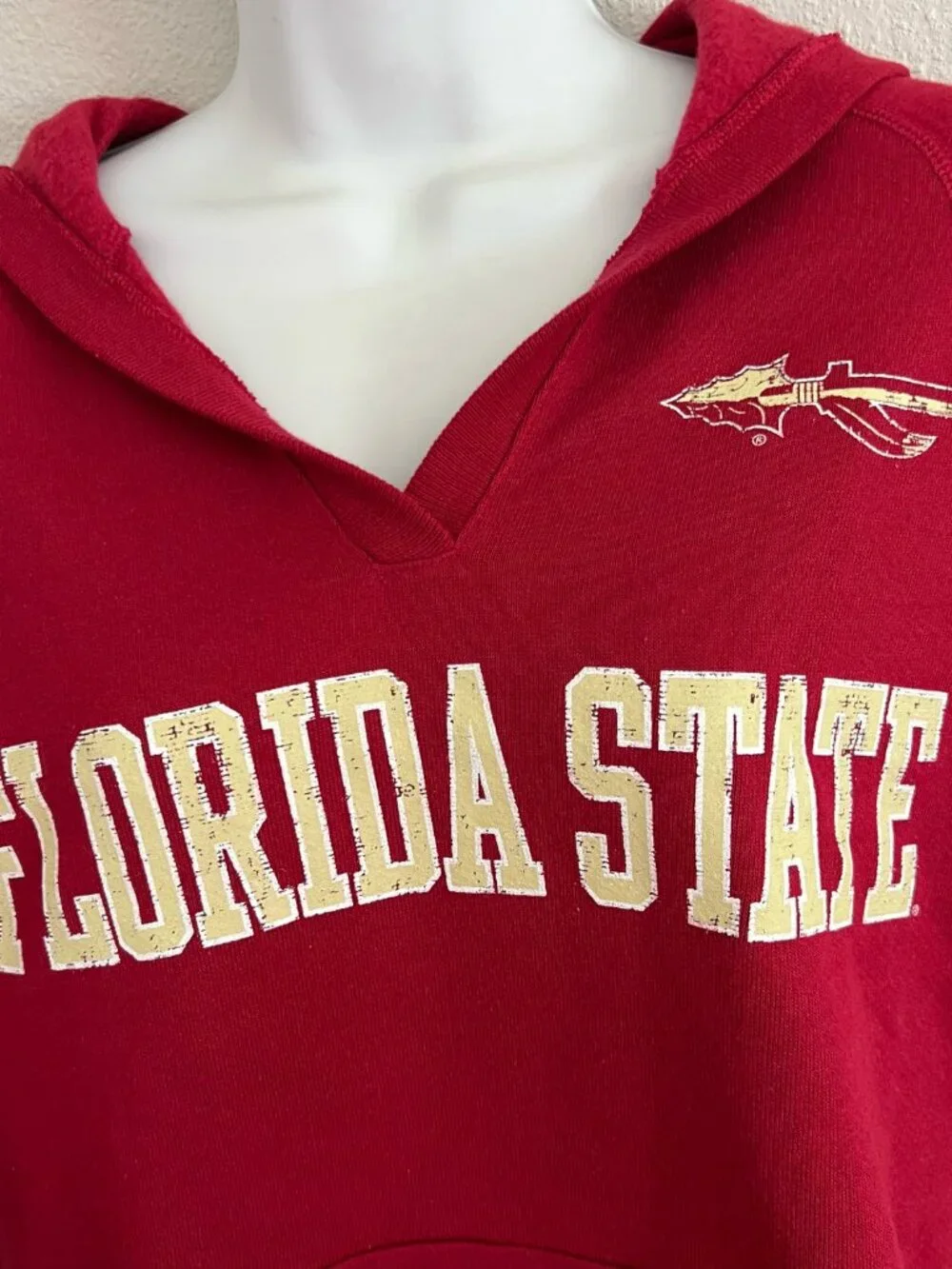 Y2K FSU Florida State University Soffe Hoodie Sweatshirt Women’s Size M - Picture 3 of 5